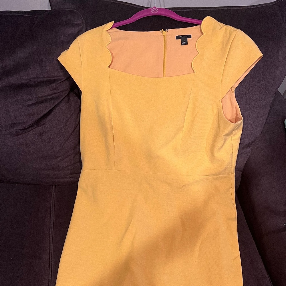 Ann Taylor Petite Scallop Top Dress